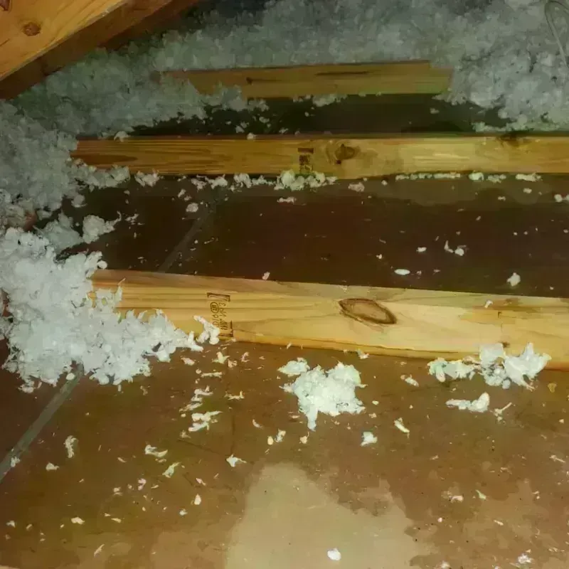 Attic Water Damage in Sierra View, PA